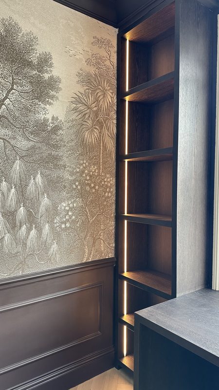 The mural beside lit shelving in the study.